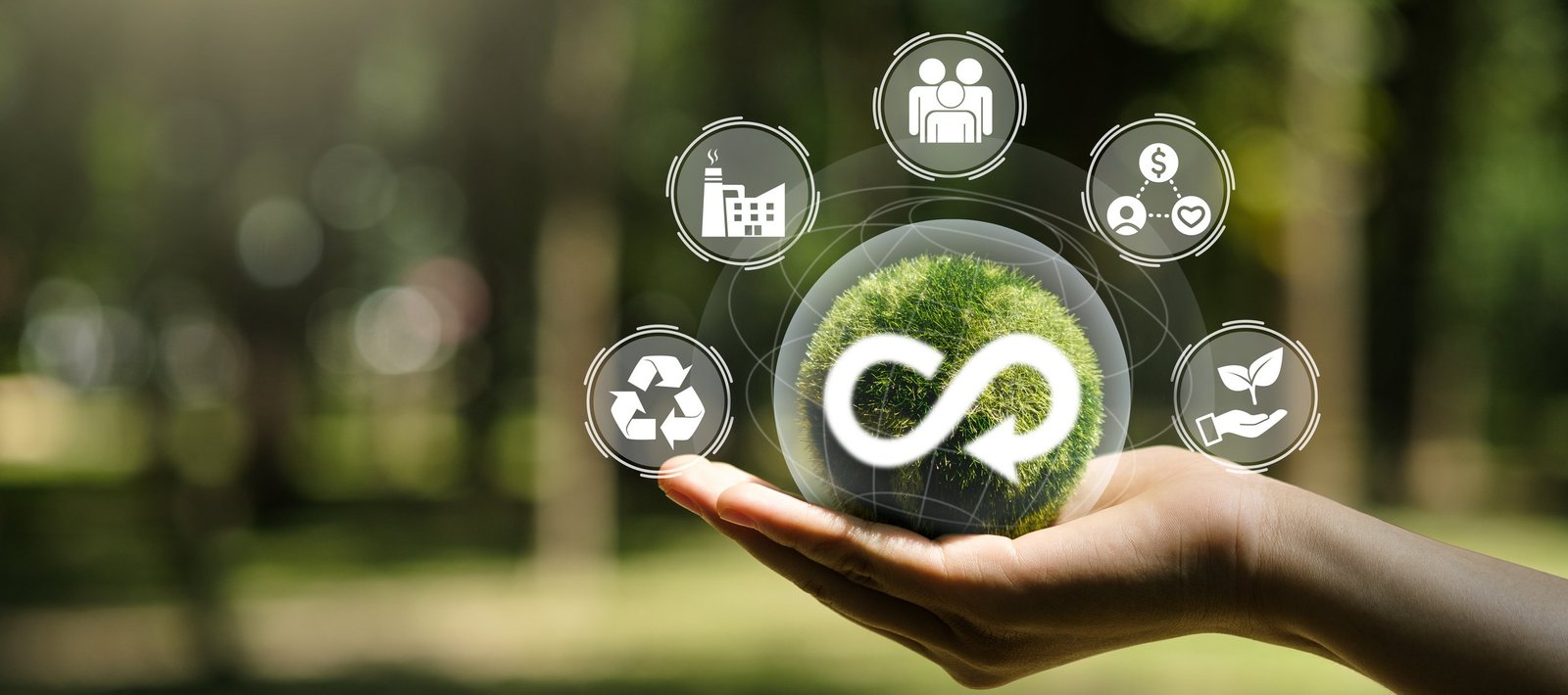 La importancia de la colaboración para conseguir la sostenibilidad